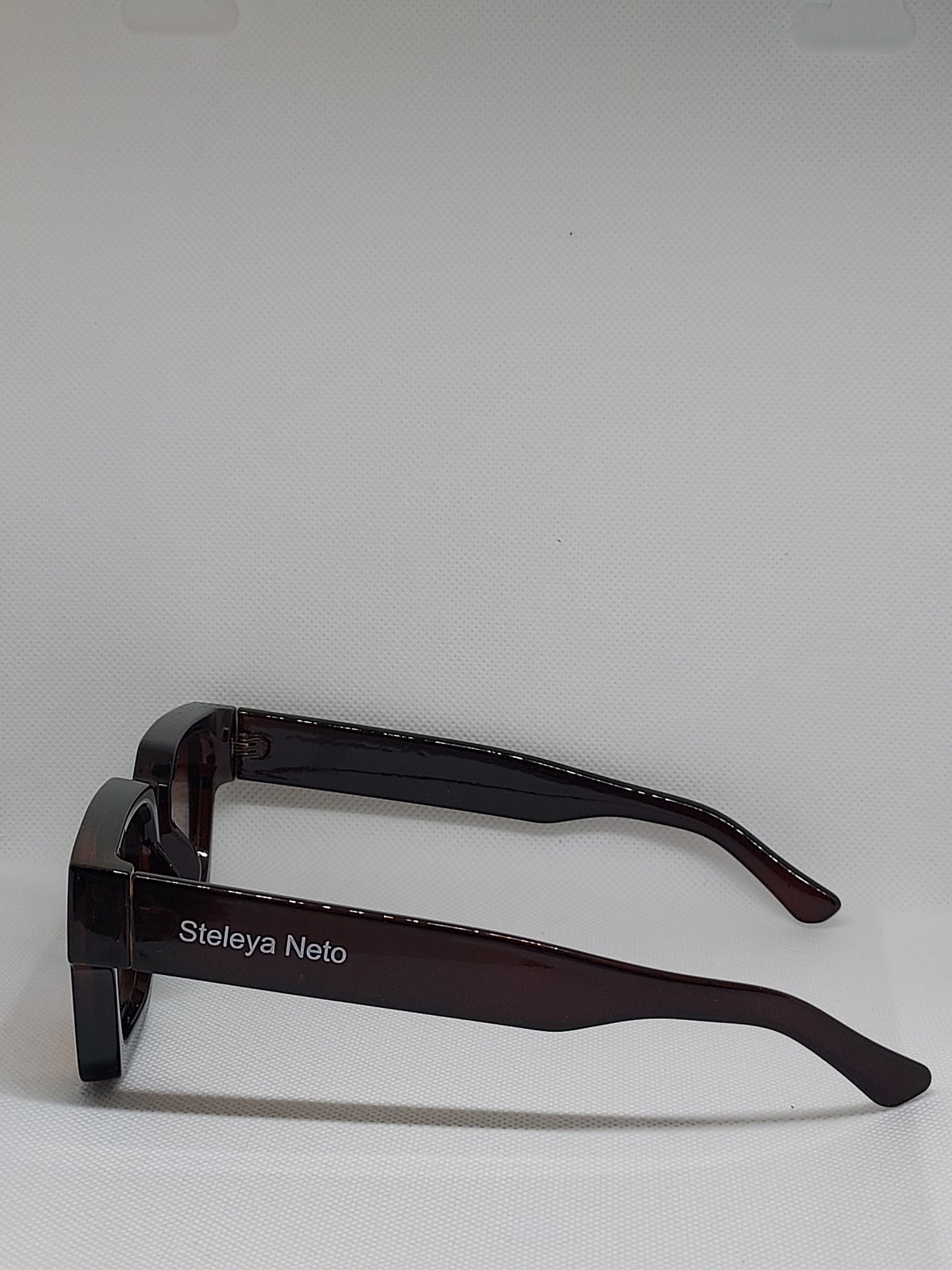SUNGLASSES BROWN/BROWN